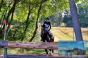 Filename=PT8_0915.JPG
Filesize=646KiB
Dimensions=1229x814
Date added=Sep 04, 2022 PT8_0915.JPG