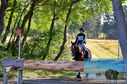 Filename=PT8_0924.JPG
Filesize=667KiB
Dimensions=1229x814
Date added=Sep 04, 2022 PT8_0924.JPG