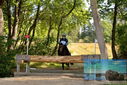 Filename=PT9_2794.JPG
Filesize=689KiB
Dimensions=1224x817
Date added=Sep 04, 2022 PT9_2794.JPG