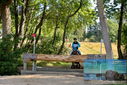 Filename=PT9_2806.JPG
Filesize=669KiB
Dimensions=1224x817
Date added=Sep 04, 2022 PT9_2806.JPG