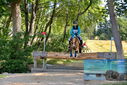 Filename=PT9_2809.JPG
Filesize=666KiB
Dimensions=1224x817
Date added=Sep 04, 2022 PT9_2809.JPG