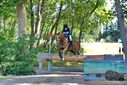 Filename=PT9_2835.JPG
Filesize=655KiB
Dimensions=1224x817
Date added=Sep 04, 2022 PT9_2835.JPG