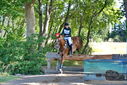Filename=PT9_2836.JPG
Filesize=686KiB
Dimensions=1224x817
Date added=Sep 04, 2022 PT9_2836.JPG