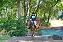 Filename=PT9_2837.JPG
Filesize=658KiB
Dimensions=1224x817
Date added=Sep 04, 2022 PT9_2837.JPG
