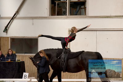 Dm voltering
Keywords: dyrgaards maximus;freja gutfelt