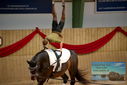 Filename=PT9_3047.JPG
Filesize=310KiB
Dimensions=1224x817
Date added=Oct 03, 2022 PT9_3047.JPG