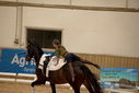 Filename=PT9_3051.JPG
Filesize=291KiB
Dimensions=1224x817
Date added=Oct 03, 2022 PT9_3051.JPG