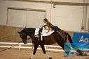 Filename=PT9_3052.JPG
Filesize=314KiB
Dimensions=1224x817
Date added=Oct 03, 2022 PT9_3052.JPG
