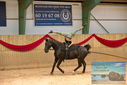 Filename=PT9_3063.JPG
Filesize=361KiB
Dimensions=1224x817
Date added=Oct 03, 2022 PT9_3063.JPG