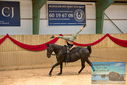 Filename=PT9_3064.JPG
Filesize=332KiB
Dimensions=1224x817
Date added=Oct 03, 2022 PT9_3064.JPG