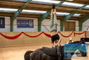 Filename=PT9_3068.JPG
Filesize=319KiB
Dimensions=1224x817
Date added=Oct 03, 2022 PT9_3068.JPG