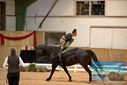 Filename=PT9_3070.JPG
Filesize=340KiB
Dimensions=1224x817
Date added=Oct 03, 2022 PT9_3070.JPG