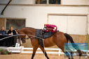 Filename=PT9_3086.JPG
Filesize=291KiB
Dimensions=1224x817
Date added=Oct 03, 2022 PT9_3086.JPG