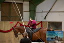Filename=PT9_3087.JPG
Filesize=297KiB
Dimensions=1224x817
Date added=Oct 03, 2022 PT9_3087.JPG