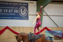 Filename=PT9_3092.JPG
Filesize=304KiB
Dimensions=1224x817
Date added=Oct 03, 2022 PT9_3092.JPG