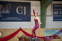 Filename=PT9_3093.JPG
Filesize=287KiB
Dimensions=1224x817
Date added=Oct 03, 2022 PT9_3093.JPG