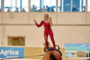Filename=PT9_3098.JPG
Filesize=653KiB
Dimensions=1224x817
Date added=Oct 03, 2022 PT9_3098.JPG