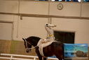 Filename=PT9_3128.JPG
Filesize=292KiB
Dimensions=1224x817
Date added=Oct 03, 2022 PT9_3128.JPG