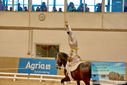 Filename=PT9_3137.JPG
Filesize=740KiB
Dimensions=1224x817
Date added=Oct 03, 2022 PT9_3137.JPG