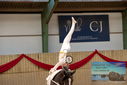 Filename=PT9_3138.JPG
Filesize=289KiB
Dimensions=1224x817
Date added=Oct 03, 2022 PT9_3138.JPG