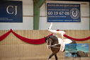 Filename=PT9_3139.JPG
Filesize=327KiB
Dimensions=1224x817
Date added=Oct 03, 2022 PT9_3139.JPG