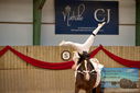 Filename=PT9_3140.JPG
Filesize=297KiB
Dimensions=1224x817
Date added=Oct 03, 2022 PT9_3140.JPG