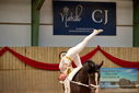 Filename=PT9_3141.JPG
Filesize=281KiB
Dimensions=1224x817
Date added=Oct 03, 2022 PT9_3141.JPG