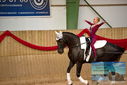 Filename=PT9_3299.JPG
Filesize=344KiB
Dimensions=1224x817
Date added=Oct 03, 2022 PT9_3299.JPG