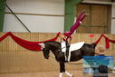 Filename=PT9_3305.JPG
Filesize=328KiB
Dimensions=1224x817
Date added=Oct 03, 2022 PT9_3305.JPG