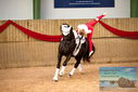 Filename=PT9_3311.JPG
Filesize=347KiB
Dimensions=1224x817
Date added=Oct 03, 2022 PT9_3311.JPG