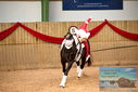 Filename=PT9_3312.JPG
Filesize=404KiB
Dimensions=1224x817
Date added=Oct 03, 2022 PT9_3312.JPG