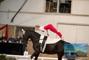 Filename=PT9_3314.JPG
Filesize=289KiB
Dimensions=1224x817
Date added=Oct 03, 2022 PT9_3314.JPG