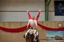 Filename=PT9_3502.JPG
Filesize=295KiB
Dimensions=1224x817
Date added=Oct 03, 2022 PT9_3502.JPG