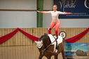Filename=PT9_3506.JPG
Filesize=318KiB
Dimensions=1224x817
Date added=Oct 03, 2022 PT9_3506.JPG