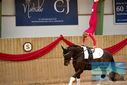 Filename=PT9_3514.JPG
Filesize=325KiB
Dimensions=1224x817
Date added=Oct 03, 2022 PT9_3514.JPG