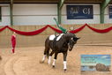 Filename=PT9_3522.JPG
Filesize=389KiB
Dimensions=1224x817
Date added=Oct 03, 2022 PT9_3522.JPG