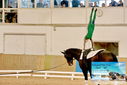 Filename=PT9_3527.JPG
Filesize=806KiB
Dimensions=1224x817
Date added=Oct 03, 2022 PT9_3527.JPG