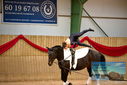 Filename=PT9_3558.JPG
Filesize=356KiB
Dimensions=1224x817
Date added=Oct 03, 2022 PT9_3558.JPG