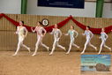 Filename=PT9_3566.JPG
Filesize=442KiB
Dimensions=1224x817
Date added=Oct 03, 2022 PT9_3566.JPG