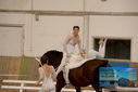 Filename=PT9_3568.JPG
Filesize=267KiB
Dimensions=1224x817
Date added=Oct 03, 2022 PT9_3568.JPG