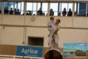 Filename=PT9_3570.JPG
Filesize=296KiB
Dimensions=1224x817
Date added=Oct 03, 2022 PT9_3570.JPG