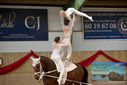 Filename=PT9_3572.JPG
Filesize=336KiB
Dimensions=1224x817
Date added=Oct 03, 2022 PT9_3572.JPG