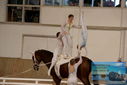 Filename=PT9_3573.JPG
Filesize=293KiB
Dimensions=1224x817
Date added=Oct 03, 2022 PT9_3573.JPG