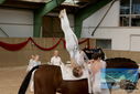 Filename=PT9_3575.JPG
Filesize=311KiB
Dimensions=1224x817
Date added=Oct 03, 2022 PT9_3575.JPG