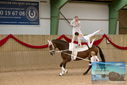 Filename=PT9_3576.JPG
Filesize=361KiB
Dimensions=1224x817
Date added=Oct 03, 2022 PT9_3576.JPG