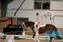 Filename=PT9_3584.JPG
Filesize=326KiB
Dimensions=1224x817
Date added=Oct 03, 2022 PT9_3584.JPG