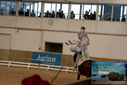 Filename=PT9_3585.JPG
Filesize=330KiB
Dimensions=1224x817
Date added=Oct 03, 2022 PT9_3585.JPG