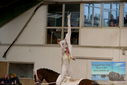Filename=PT9_3596.JPG
Filesize=288KiB
Dimensions=1224x817
Date added=Oct 03, 2022 PT9_3596.JPG