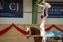 Filename=PT9_3597.JPG
Filesize=321KiB
Dimensions=1224x817
Date added=Oct 03, 2022 PT9_3597.JPG