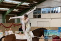 Filename=PT9_3599.JPG
Filesize=346KiB
Dimensions=1224x817
Date added=Oct 03, 2022 PT9_3599.JPG